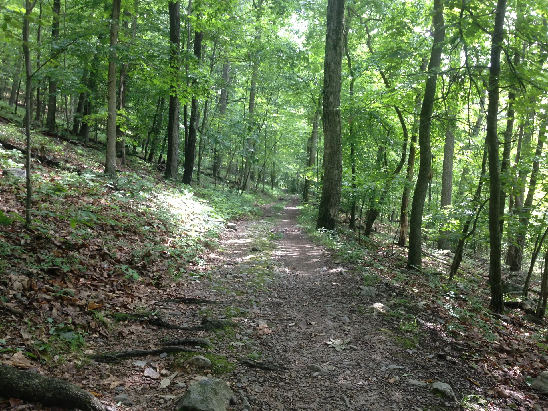 Photo on the Appalachian Trail near Sunfish Pond, New Jersey, June 29, 2013