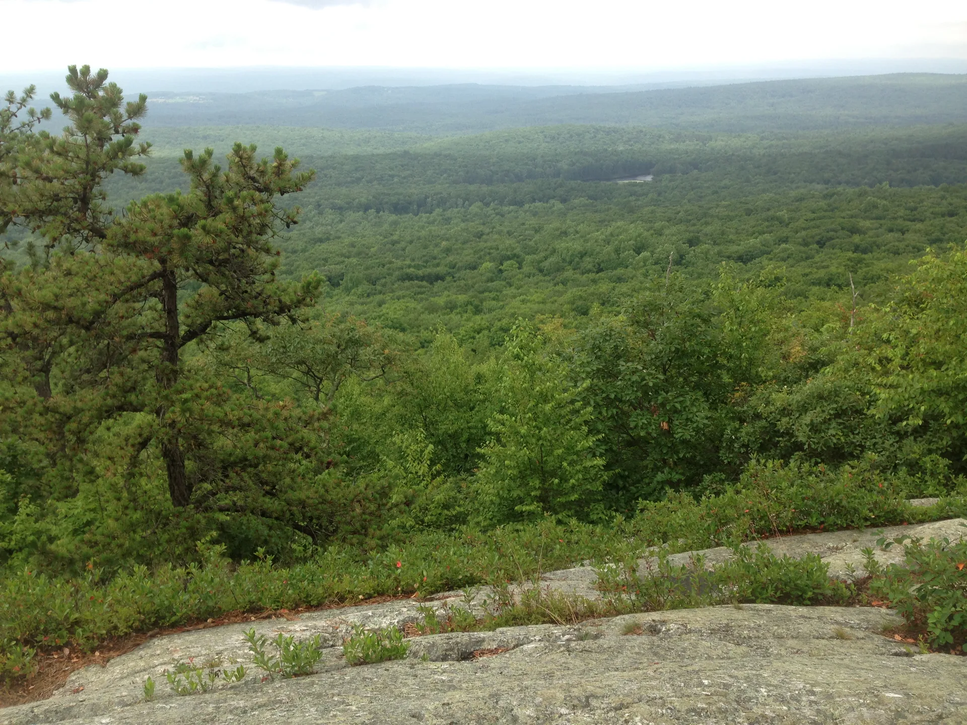 Photo on the Appalachian Trail near High Point, New Jersey, July 2, 2013