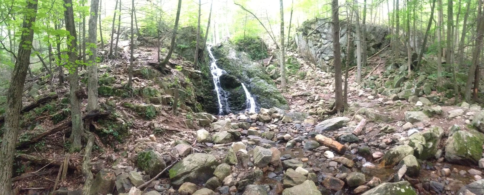 Photo on the Appalachian Trail near Harriman State Park, New York, July 11, 2013