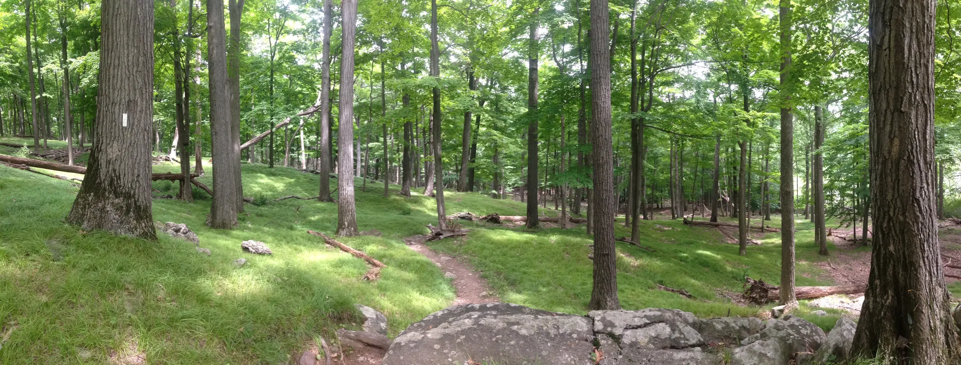 Photo on the Appalachian Trail near Harriman State Park, New York, July 11, 2013