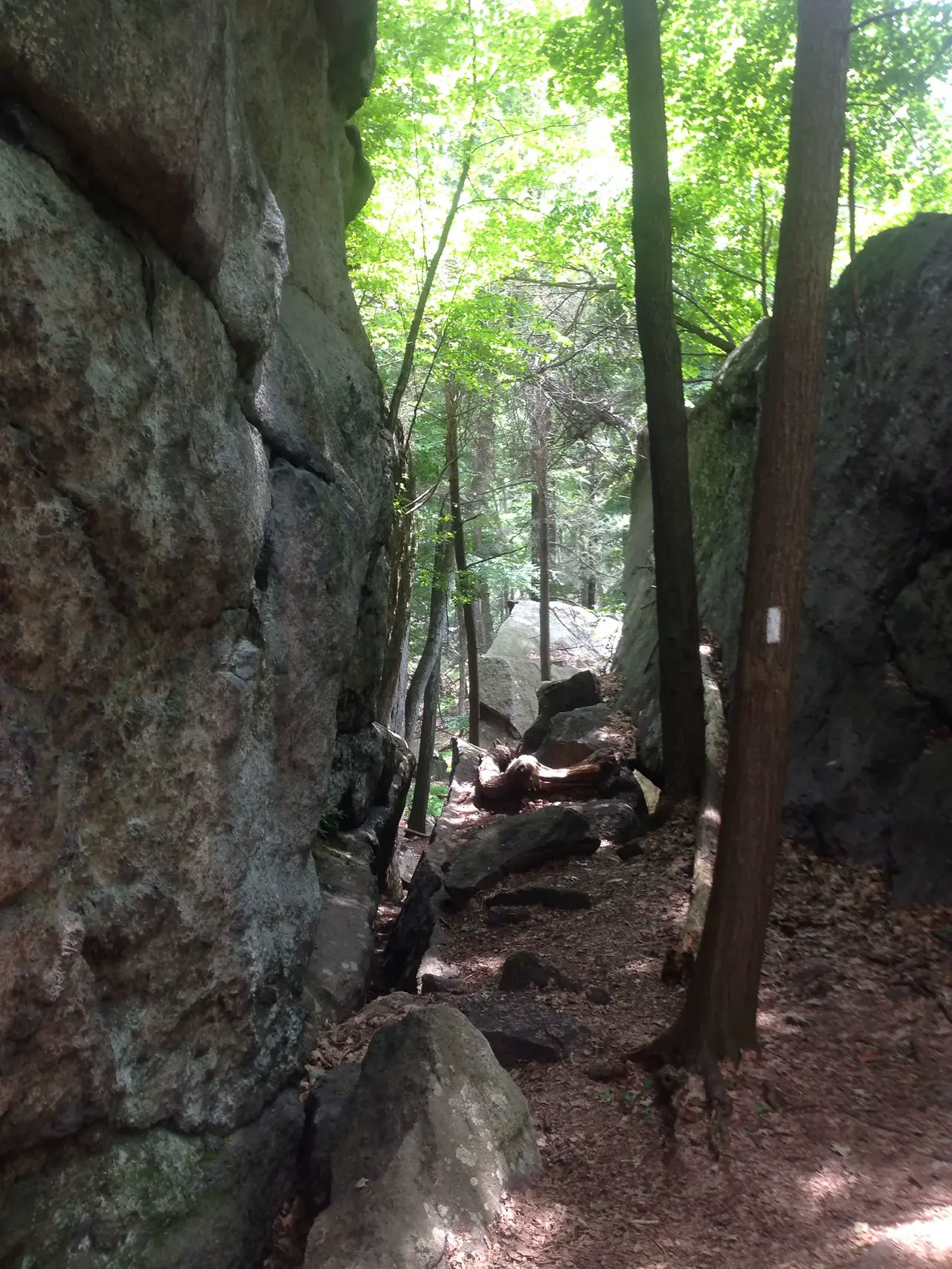 Photo on the Appalachian Trail near Harriman State Park, New York, July 11, 2013