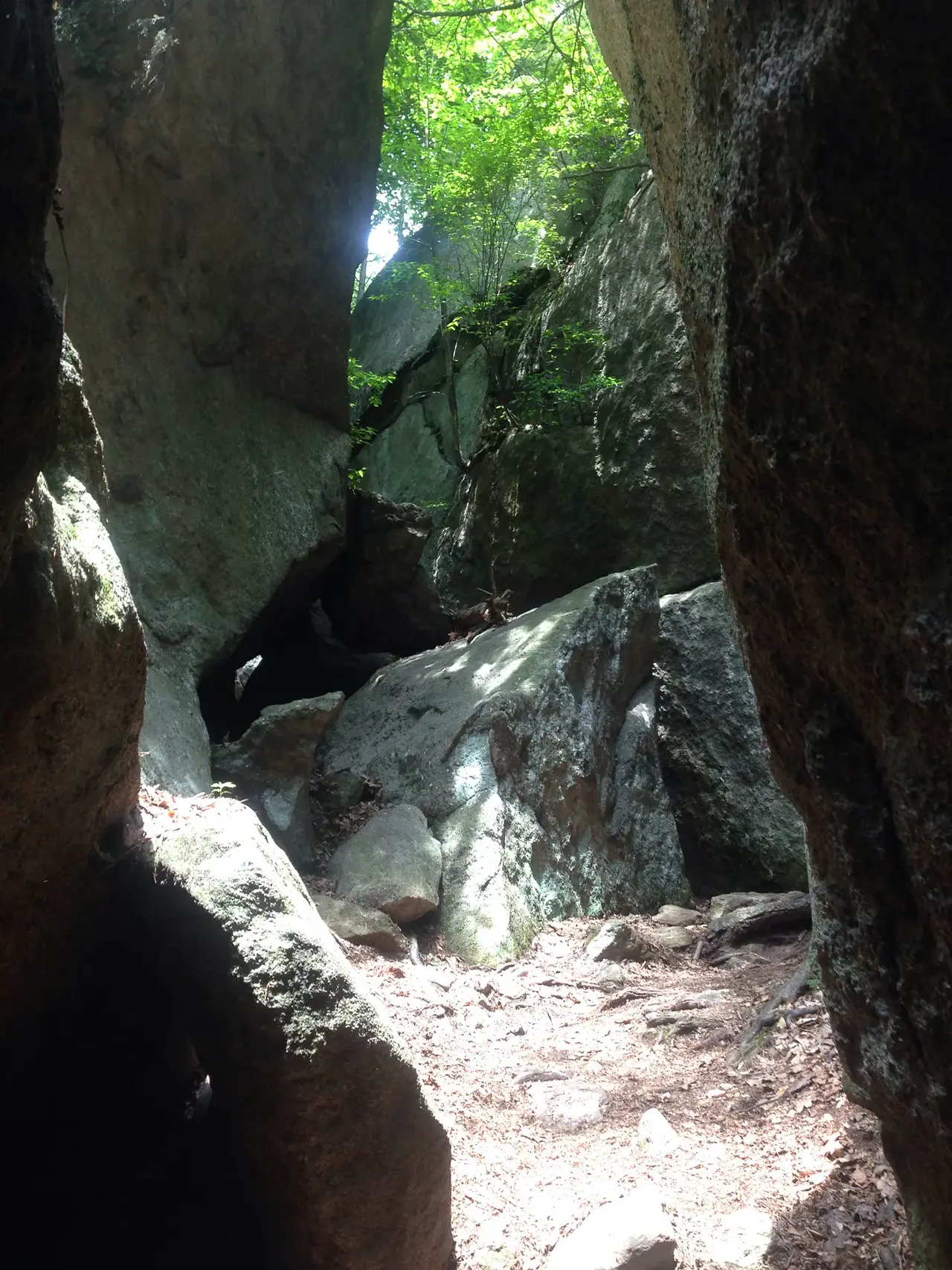 Photo on the Appalachian Trail near Harriman State Park, New York, July 11, 2013