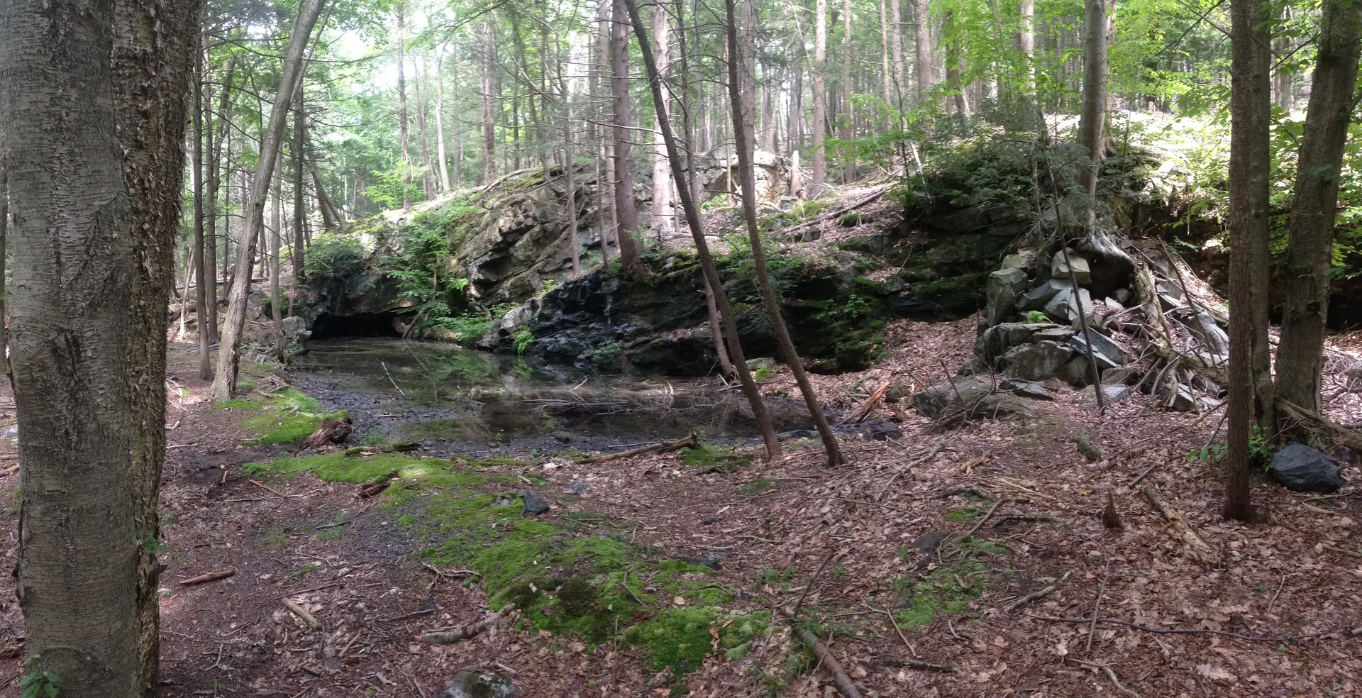 Photo on the Appalachian Trail near Harriman State Park, New York, July 11, 2013