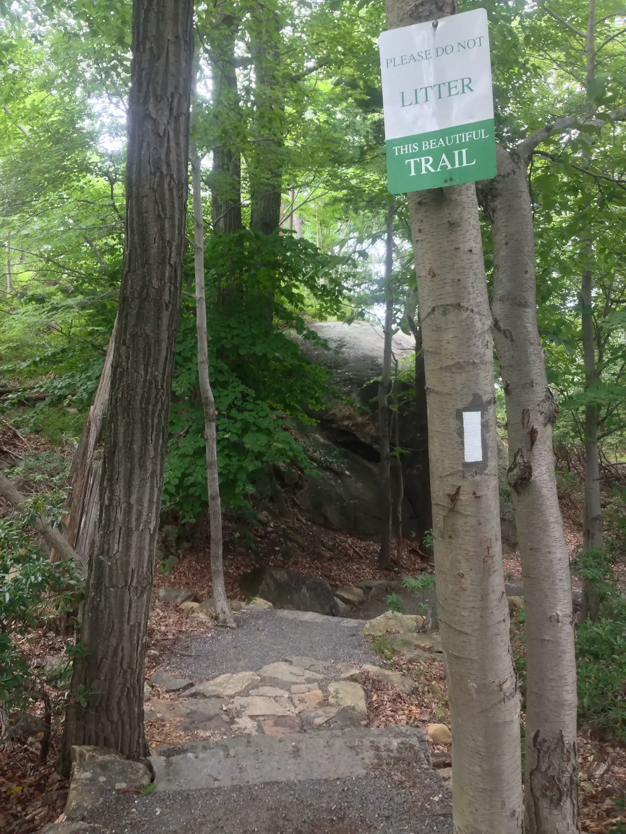 Photo on the Appalachian Trail near Harriman State Park, New York, July 11, 2013
