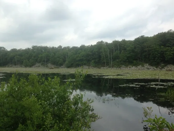 Photo on the Appalachian Trail near High Point, New Jersey, June 30, 2013