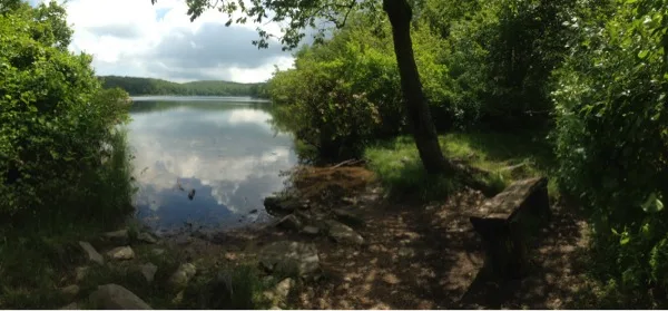 Photo on the Appalachian Trail near Sunfish Pond, New Jersey, June 29, 2013