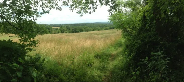 Photo on the Appalachian Trail near Unionville, New Jersey, July 5, 2013