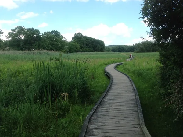 Photo on the Appalachian Trail near Prospect Rock, New Jersey, July 8, 2013