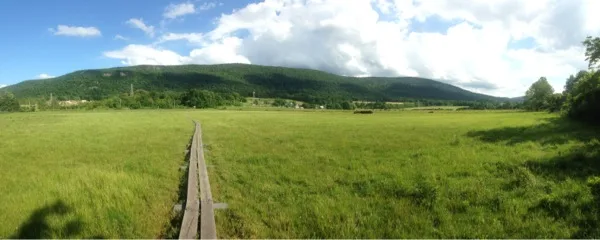 Photo on the Appalachian Trail near Prospect Rock, New Jersey, July 8, 2013