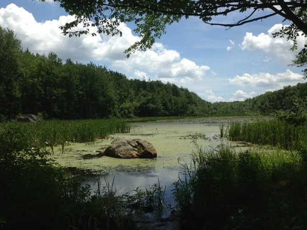 Photo on the Appalachian Trail near Greenwood Lake, New York, July 9, 2013