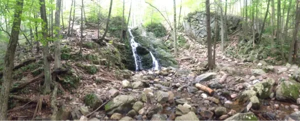 Photo on the Appalachian Trail near Harriman State Park, New York, July 11, 2013