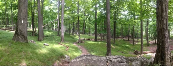 Photo on the Appalachian Trail near Harriman State Park, New York, July 11, 2013
